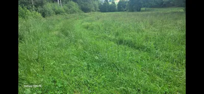 Grundstück mieten in Rohrbach – 3 000 m² – Bild 4 von 9