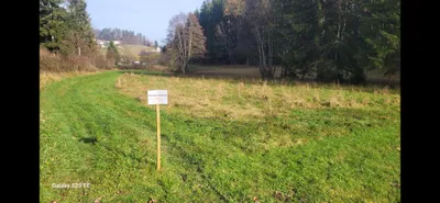 Grundstück mieten in Rohrbach – 3 000 m² – Bild 5 von 9