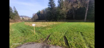 Grundstück mieten in Rohrbach – 3 000 m² – Bild 7 von 9