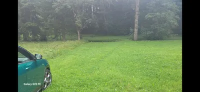 Grundstück mieten in Rohrbach – 3 000 m² – Bild 9 von 9
