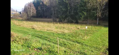 Grundstück mieten in Rohrbach – 3 000 m² – Bild 6 von 9