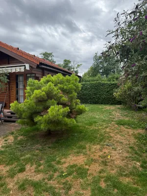 Immobilie kaufen in Wien – 437 m², € 499.000 – Bild 3 von 17