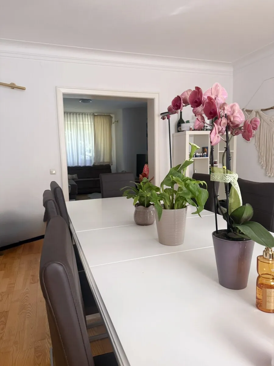 Haus – Leonding - Ansicht 3