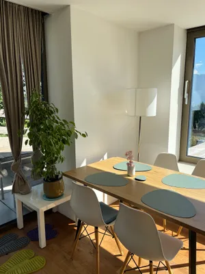 1-Zimmer-Immobilie mieten in Vöcklabruck – 59 m², € 490 – Bild 14 von 24