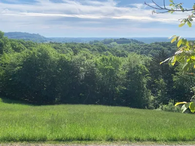 Grundstück kaufen in Südoststeiermark – 3 940 m², € 185.000 – Bild 3 von 6