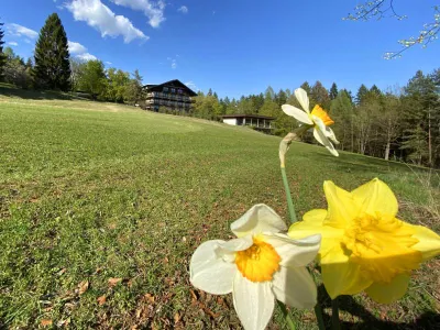 60-Zimmer-Haus kaufen in Villach Land – 4 800 m², € 4.500.000 – Bild 9 von 12