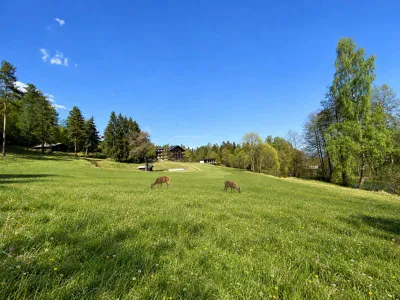 60-Zimmer-Haus kaufen in Villach Land – 4 800 m², € 4.500.000 – Bild 5 von 12
