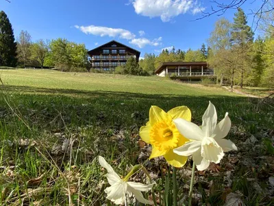 60-Zimmer-Haus kaufen in Villach Land – 4 800 m², € 4.500.000 – Bild 4 von 12