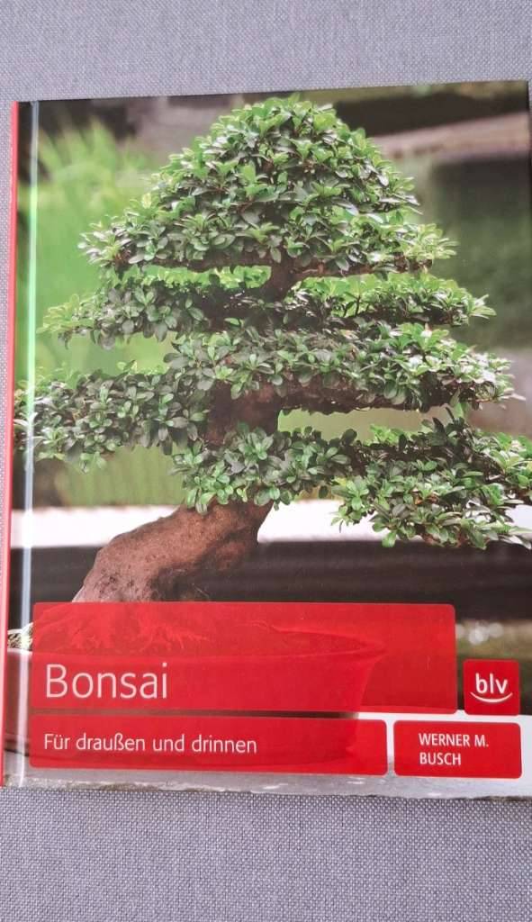 Alles ber den Bonsai,  6,- (8054 Graz) - willhaben