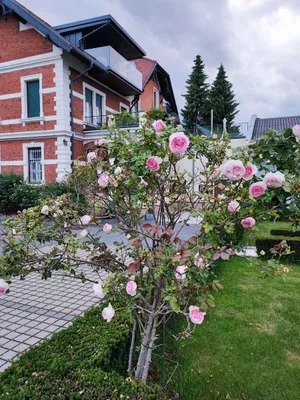 3-Zimmer-Wohnung mieten in Graz-Umgebung – 135 m² – Bild 10 von 21