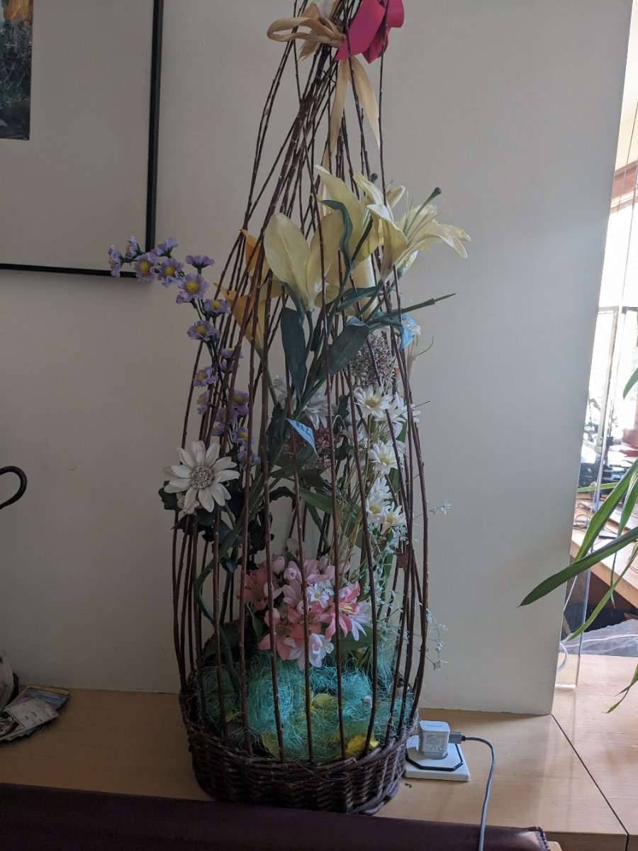 pflanztopf bambus Fargesia Rufa Bambus, 80cm – vielgrün