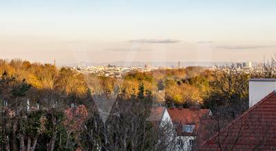 Ober St. Veiter Traumlage mit Wienblick, 3-Jahre befristet – Bild 3