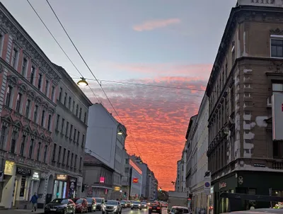2-Zimmer-Wohnung kaufen in Wien – 31 m², € 105.000 – Bild 9 von 10