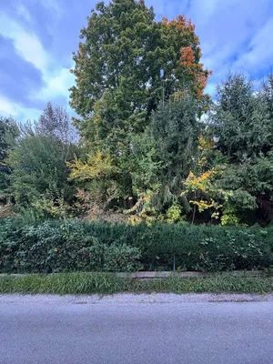 2-Zimmer-Wohnung mieten in Gmunden – 38 m², € 695 – Bild 16 von 20