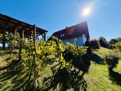 Haus kaufen in Südoststeiermark – 218 m², € 418.000 – Bild 69 von 87