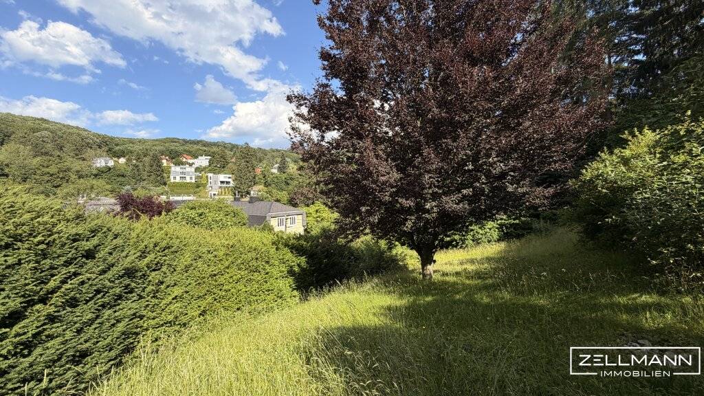 RARITÄT in MAUERBACH | 4.242 m² großes Baugrundstück - teilbar - mit Altbestand | ZELLMANN IMMOBILIEN - Ansicht 3