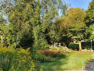 Grundstück kaufen in Mistelbach – 217 508 m²