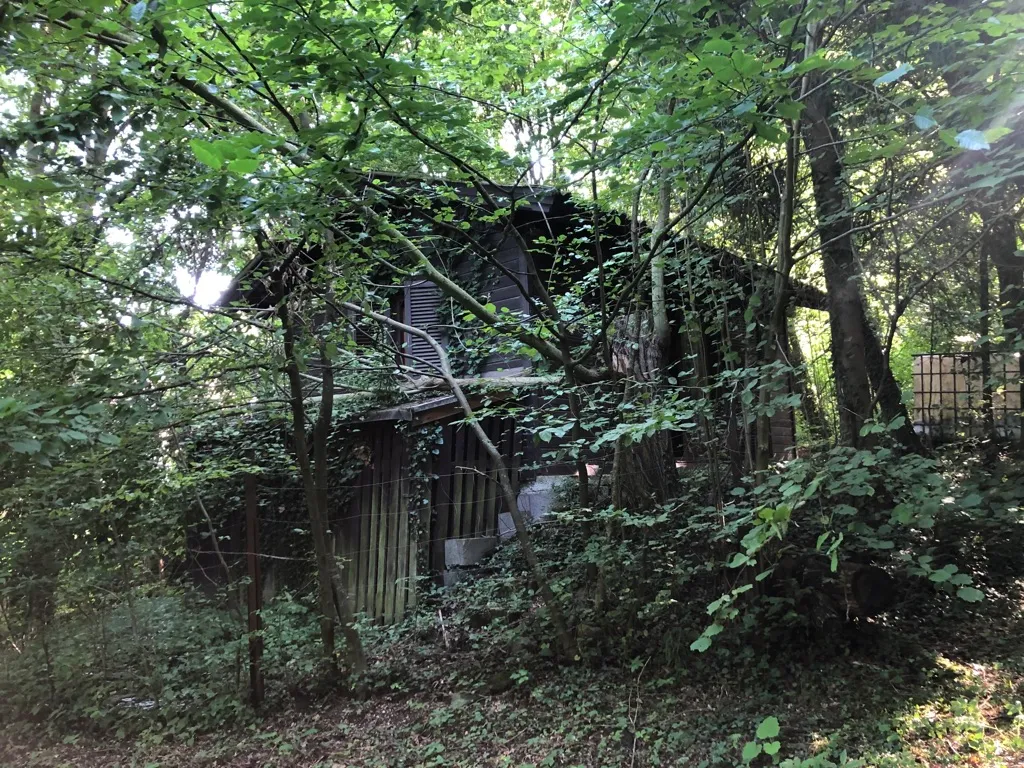 Haus – Grünberg - Ansicht 2