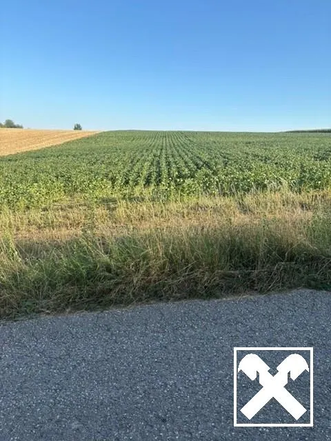 ACKERFLÄCHE IN PIXENDORF - ZUSAMMENHÄNGENDE LANDWIRTSCHAFTLICHE FLÄCHE