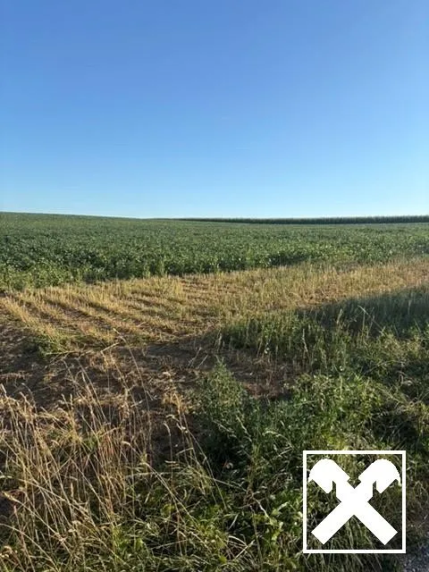 ACKERFLÄCHE IN PIXENDORF - ZUSAMMENHÄNGENDE LANDWIRTSCHAFTLICHE FLÄCHE - Ansicht 2