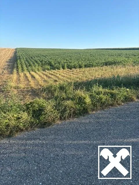 ACKERFLÄCHE IN PIXENDORF - ZUSAMMENHÄNGENDE LANDWIRTSCHAFTLICHE FLÄCHE - Ansicht 3