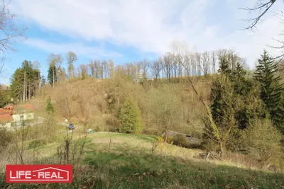 Grundstück kaufen in Freistadt – 2 873 m², € 59.000 – Bild 2 von 3