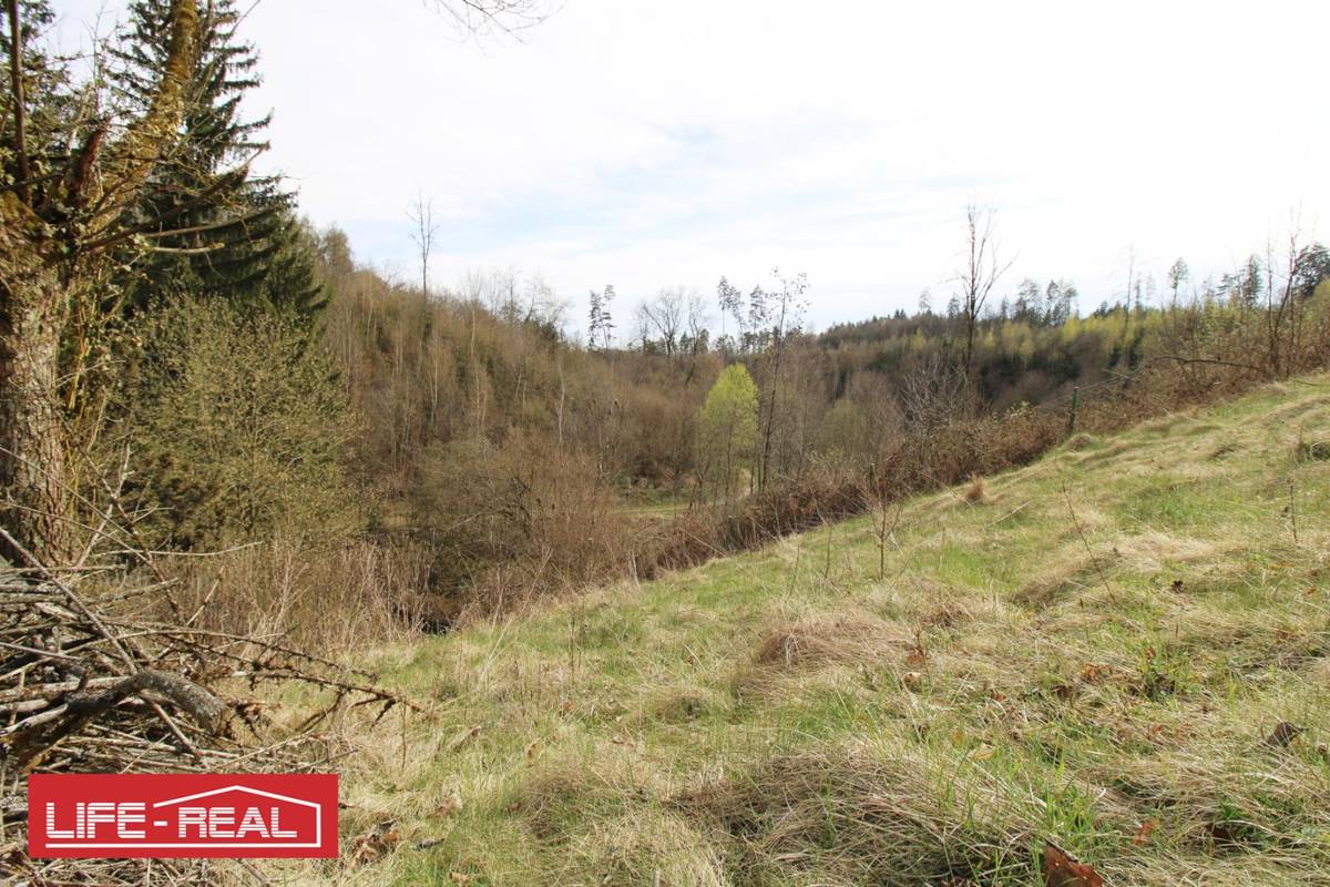 sonniges Grünland eingebetet neben Bach und Wald, kein Bauland, Hagenberg im Mühlkreis