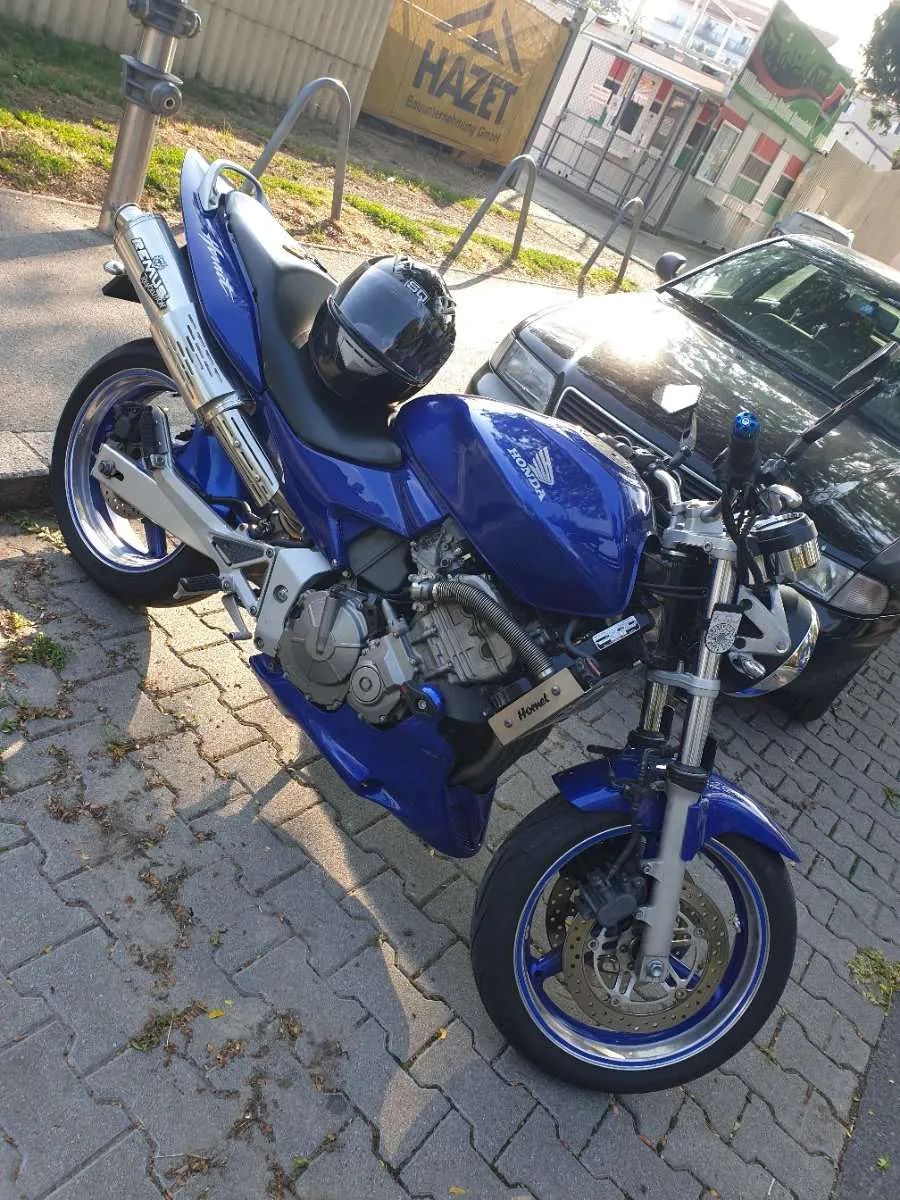 Honda Hornet
