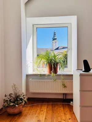 2-Zimmer-Wohnung mieten in Grieskirchen – 50 m², € 570 – Bild 6 von 7