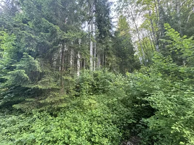 Haus kaufen in Vöcklabruck – 271,14 m², € 714.000 – Bild 16 von 32