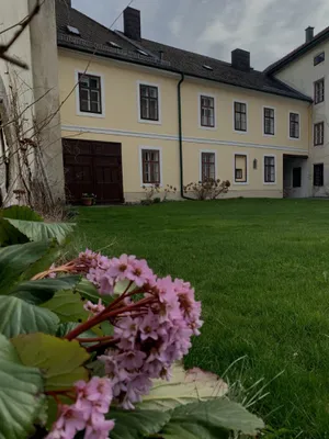 14-Zimmer-Gewerbeimmobilie kaufen in Wiener Neustadt Land – 510 m² – Bild 15 von 72