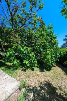 6-Zimmer-Haus kaufen in Graz – 170 m², € 795.000 – Bild 3 von 52