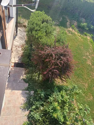 7-Zimmer-Haus mieten in Ried im Innkreis – 100 m², € 1.150 – Bild 5 von 18