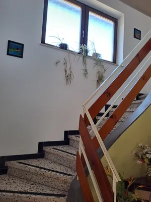 7-Zimmer-Haus mieten in Ried im Innkreis – 100 m², € 1.150 – Bild 16 von 18