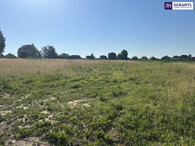 Grundstück kaufen in Graz-Umgebung – 981 m², € 270.000 – Bild 8 von 29