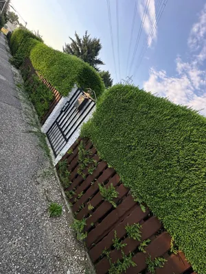 Immobilie kaufen in Korneuburg – 28 m², € 193.000 – Bild 5 von 15