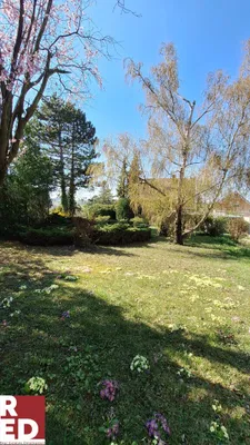 5-Zimmer-Haus kaufen in Mistelbach – 90 m², € 299.999 – Bild 12 von 12