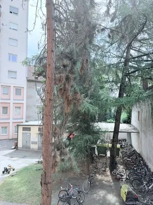 2-Zimmer-Wohnung kaufen in Graz – 58 m², € 135.000 – Bild 12 von 15