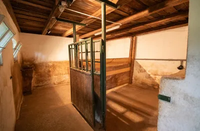Haus kaufen in Klagenfurt Land – 233 m², € 1.250.000 – Bild 27 von 36
