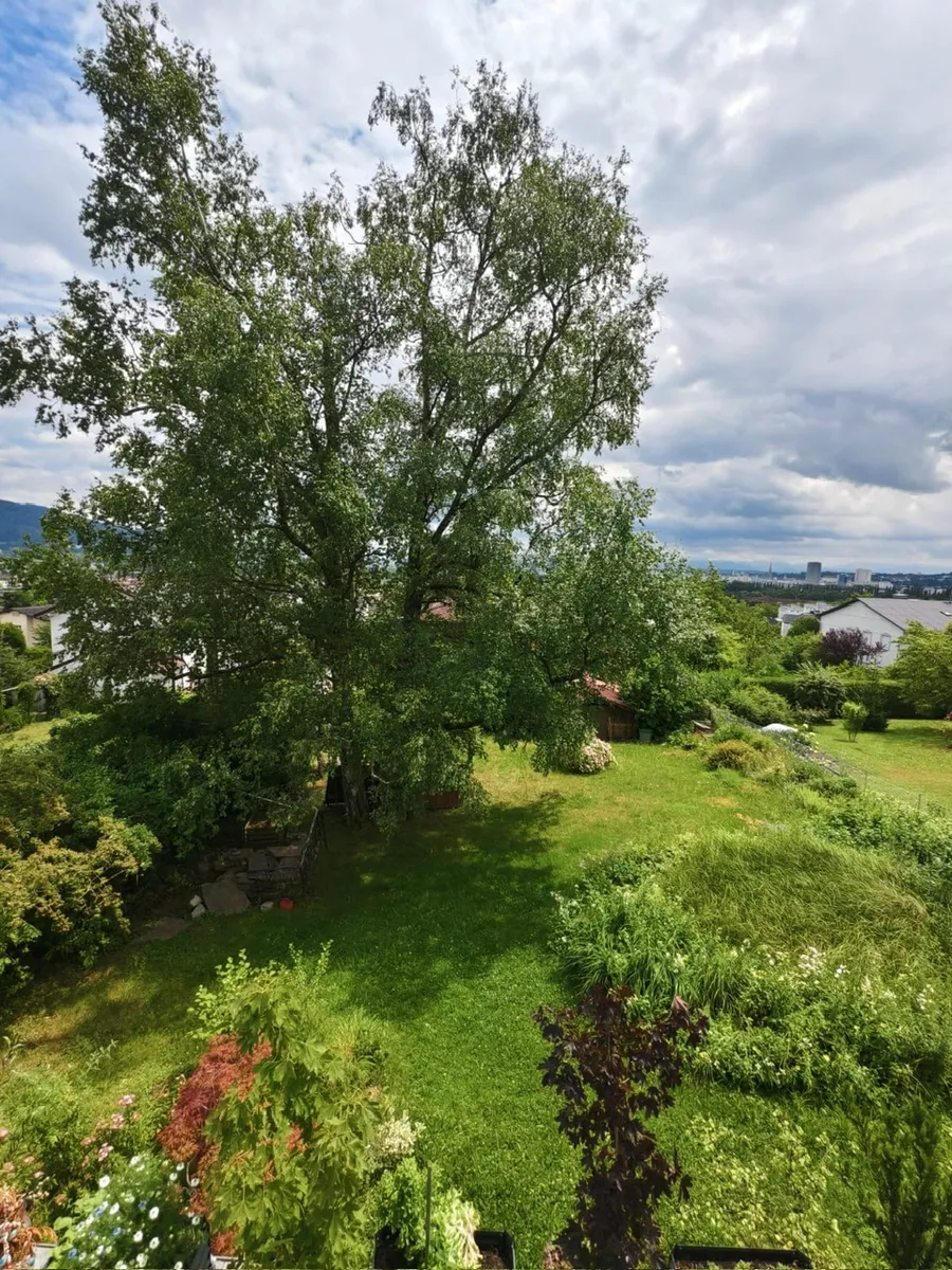 Exklusives Baugrundstück in Bestlage am GRÜNDBERG mit Blick auf die Pöstlingberg-Kirche - View 2