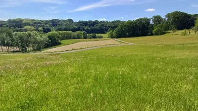 Grundstück kaufen in Jennersdorf – 19 984 m², € 325.000 – Bild 6 von 12