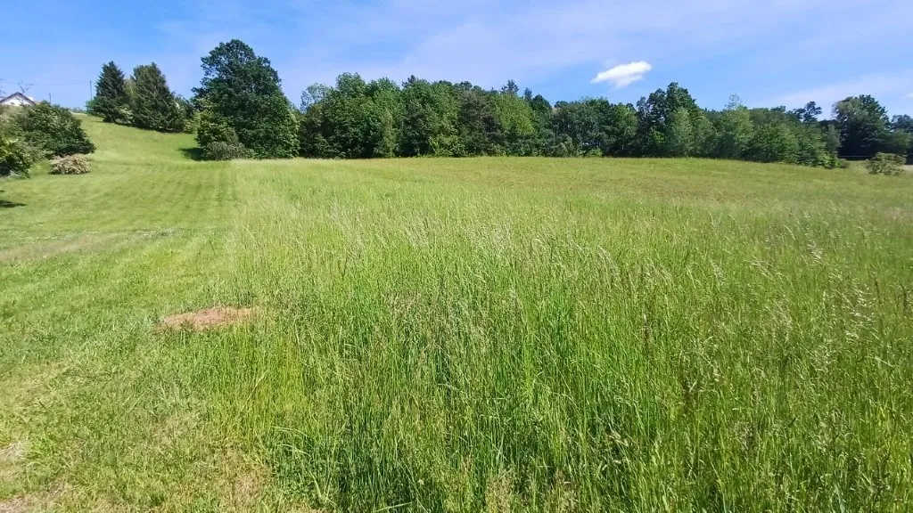 Außergewöhnliches Entwicklungsgrundstück mit ca. 2 ha Fläche in Thermennähe - davon ca. 10.407 m² Bauland - exklusives Winzerdorfkonzept bereits vorhanden! - Ansicht 3