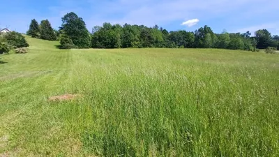 Grundstück kaufen in Jennersdorf – 19 984 m², € 325.000 – Bild 3 von 12