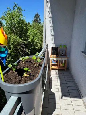 3-Zimmer-Wohnung kaufen in Linz – 74 m², € 249.000 – Bild 12 von 12