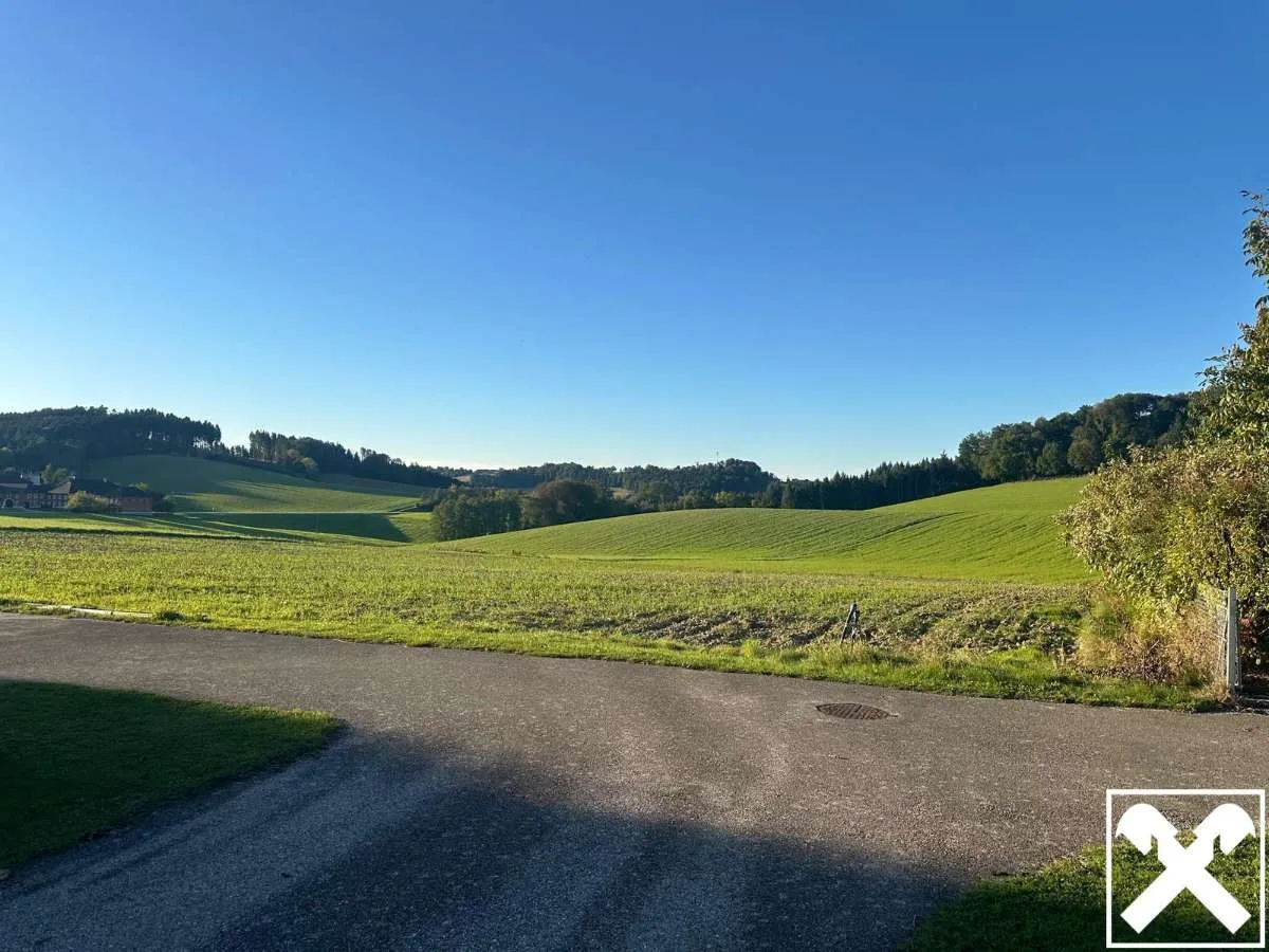 Baugrund in Naturlage mit Fernblick - Ansicht 3