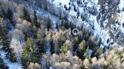Immobilie kaufen in Lienz – 351 594 m², € 350.000 – Bild 7 von 8