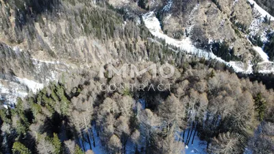 Immobilie kaufen in Lienz – 351 594 m², € 350.000 – Bild 8 von 8