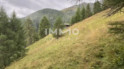 Immobilie kaufen in Lienz – 351 594 m², € 350.000 – Bild 6 von 8