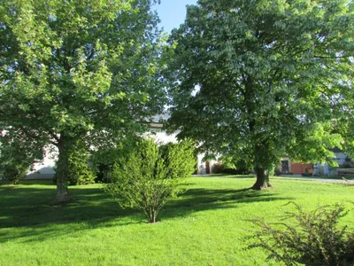 Grundstück mieten in Sankt Pölten Land – 20 000 m² – Bild 63 von 67