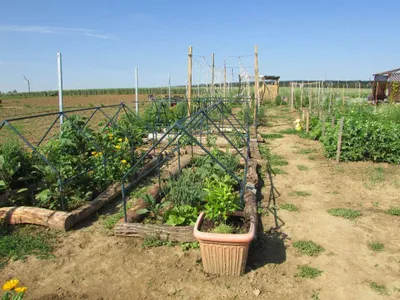 Grundstück mieten in Sankt Pölten Land – 20 000 m² – Bild 59 von 67